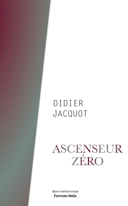 Ascenseur zéro - Quand le contrôle devient une arme (Didier JACQUOT)