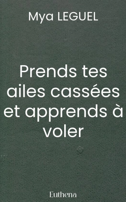 Prends tes ailes cassées et apprends à voler