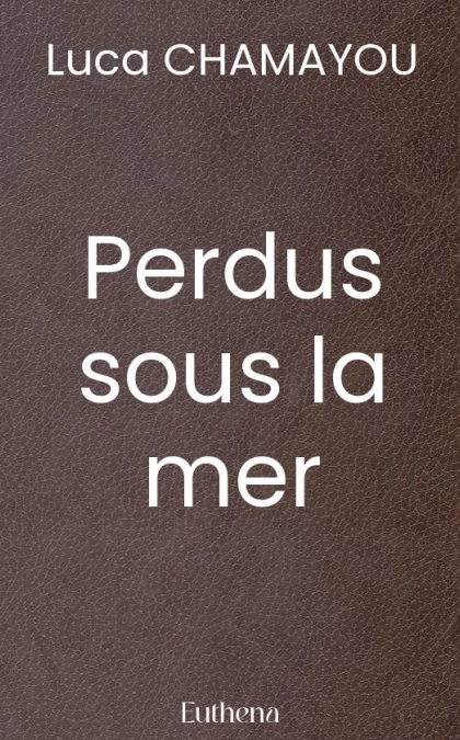 Perdus sous la mer