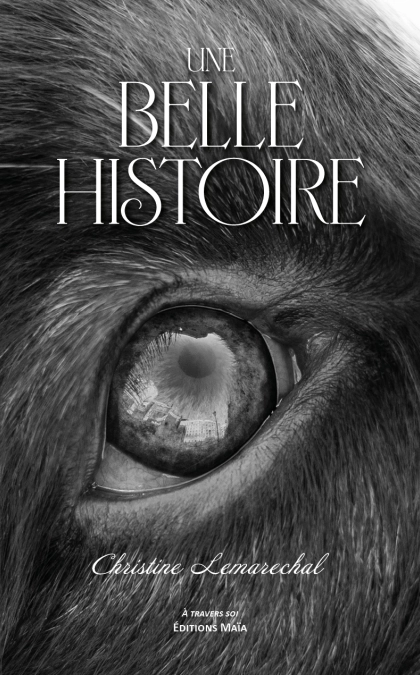 Une Belle Histoire