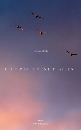 D’un battement d’ailes - Laurence Virgille