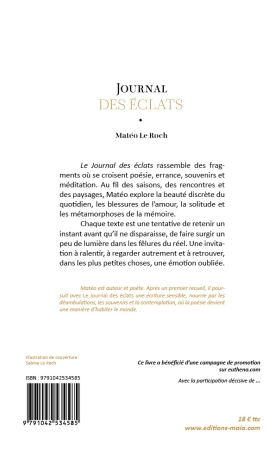 Journal des éclats