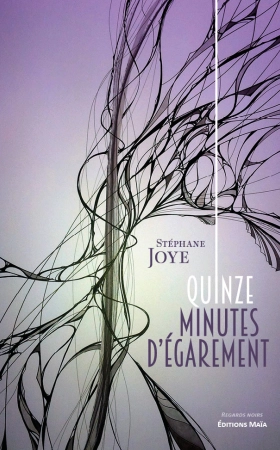 Quinze minutes d'égarements - Stéphane JOYE