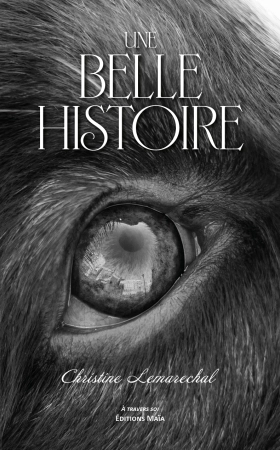 Une Belle Histoire - Christine Lemarechal